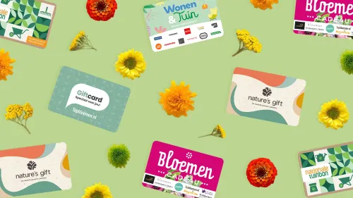 Dit zijn de 5 beste bloemenbonnen van dit moment!